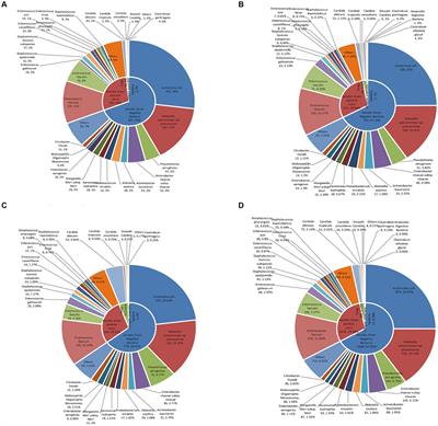 The distribution and antibiotic-resistant characteristics and risk factors of pathogens associated with clinical biliary tract infection in humans
